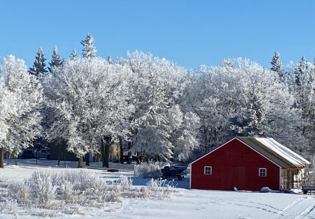 Photograph selected for December 2026