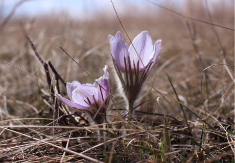 Photograph selected for May 2026