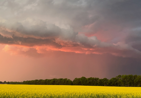 Photograph selected for July 2026