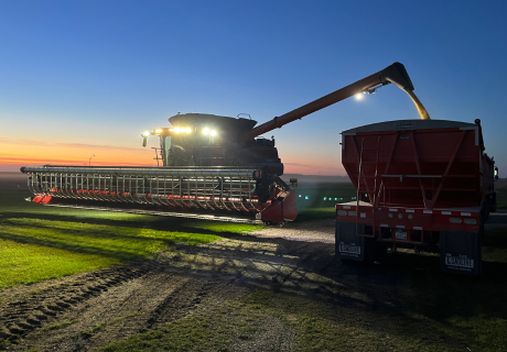 Photograph selected for September 2026