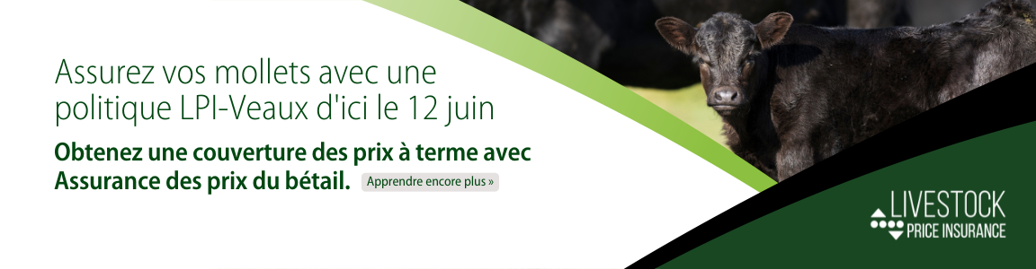 Programme d’assurance des prix du bétail