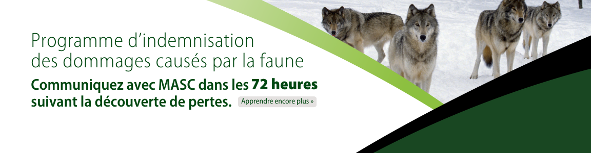 Programme d'indemnisation des dommages causes par la faune